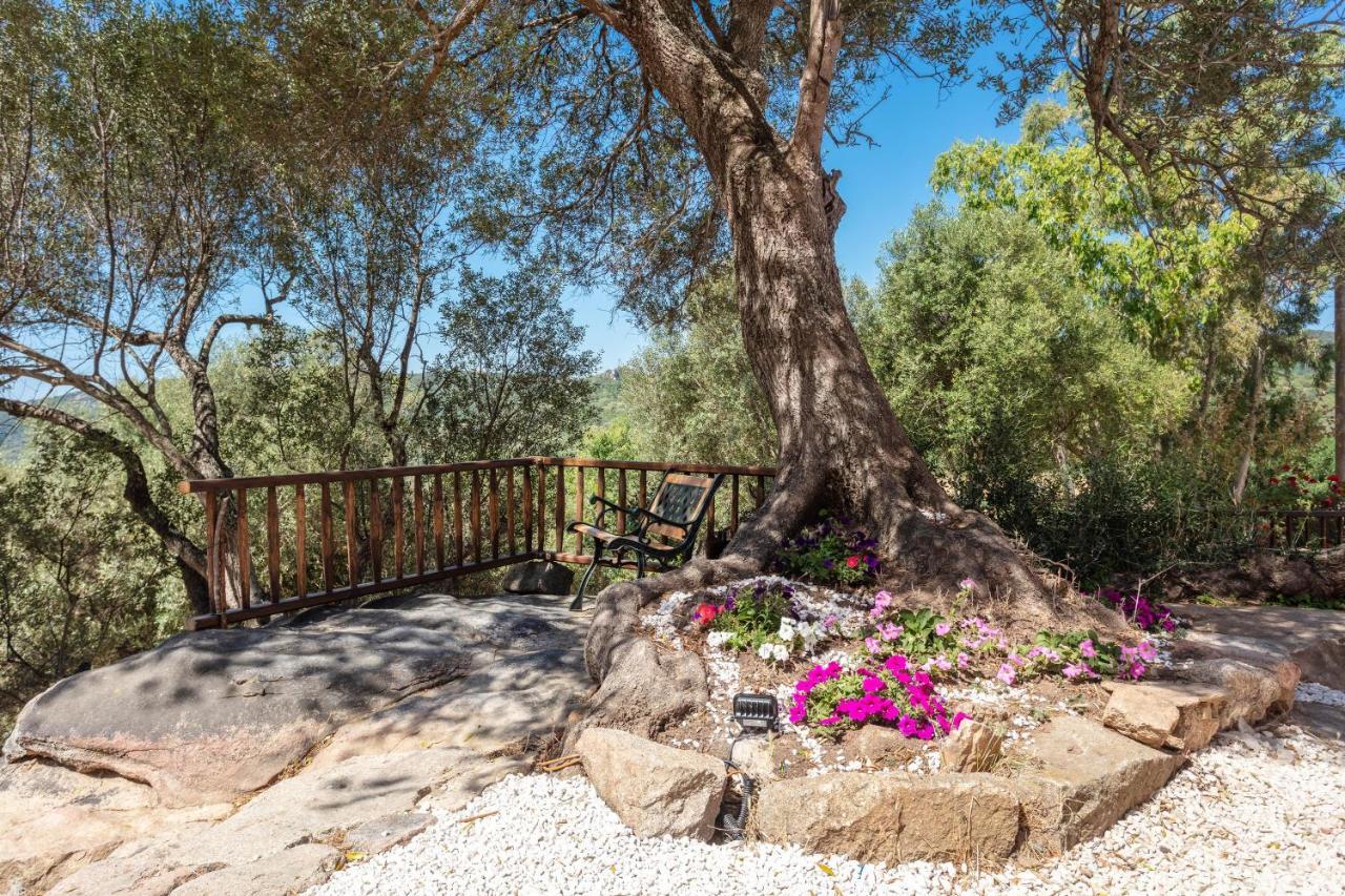 Casa Vacanza Stazzu Saiacciu Palau Buitenkant foto